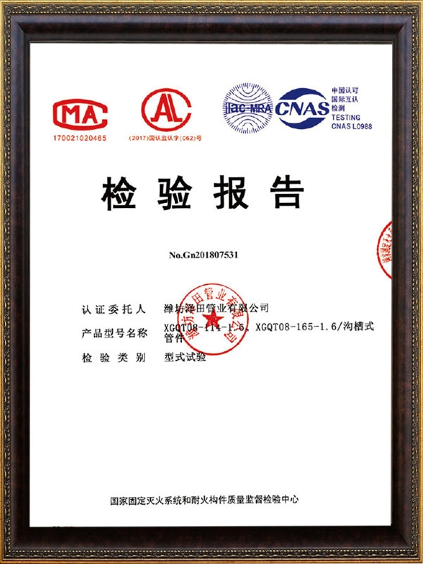 檢驗(yàn)報(bào)告